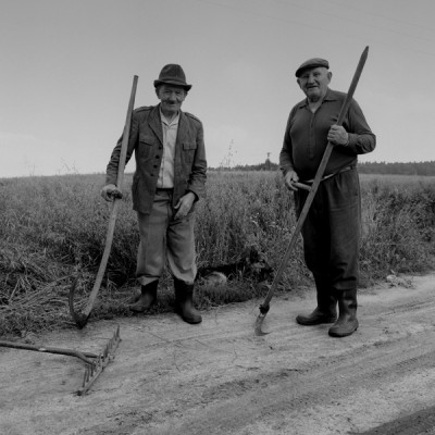 the farmers, 1996