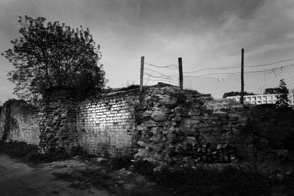the wall, Chojna 04.2011