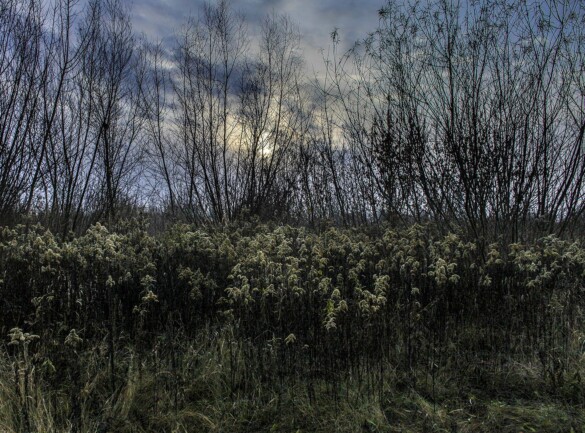 Warsaw, December 2022